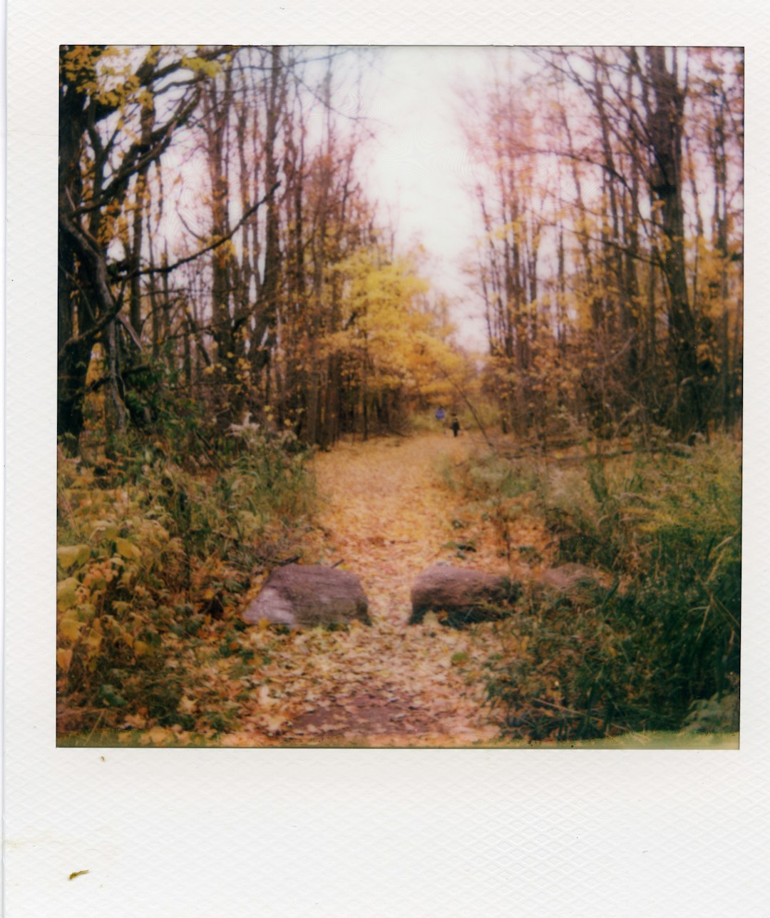 Local Pack Optimization: Google Maps Ranking Factors