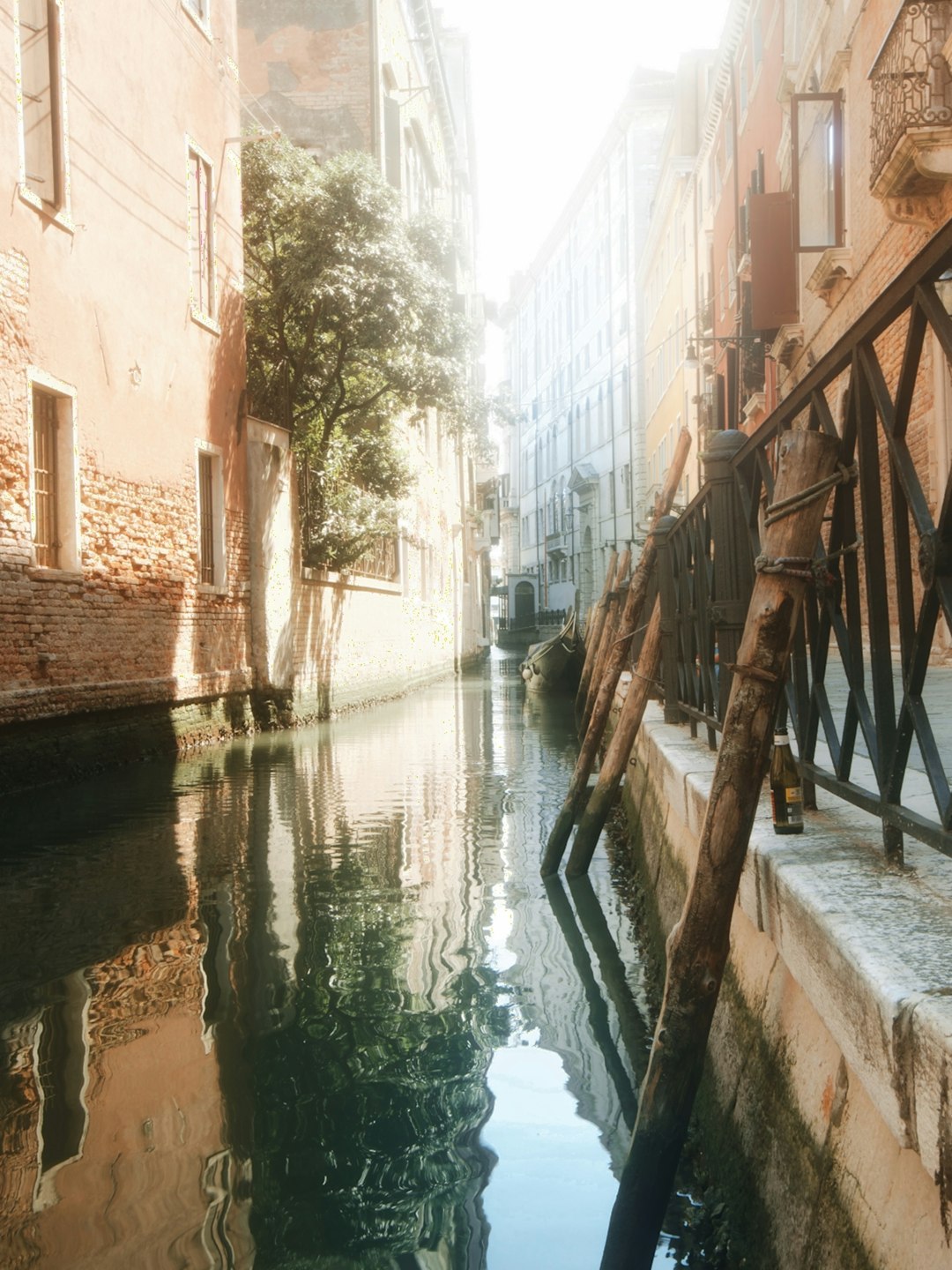 Optogenetics: Light-Based Neural Control