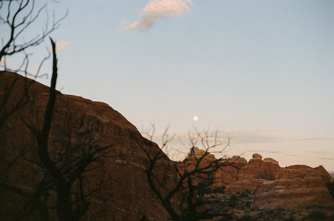 Breadcrumb Schema: Site Hierarchy Markup