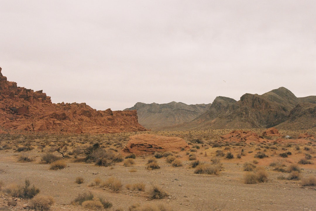 Mobile-First Indexing: Optimization Checklist