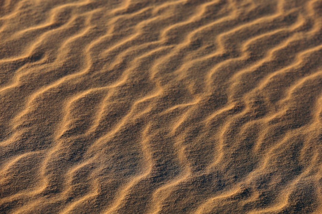 Strategy Pattern: Algorithm Selection Design