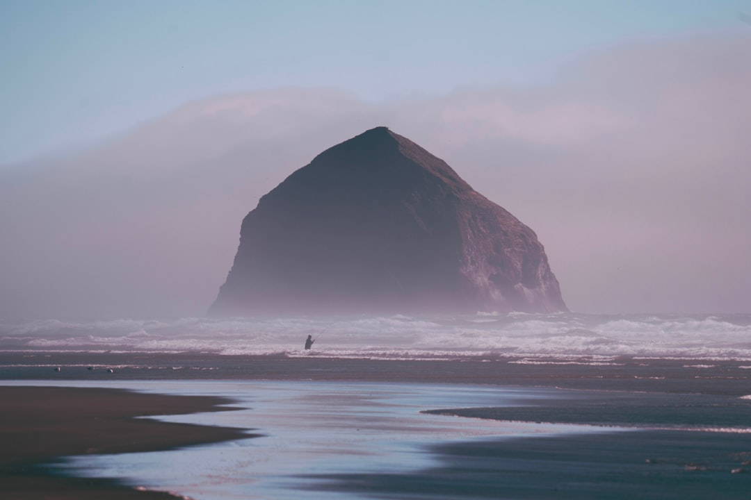 ERP Go-Live Preparation: Cutover Planning