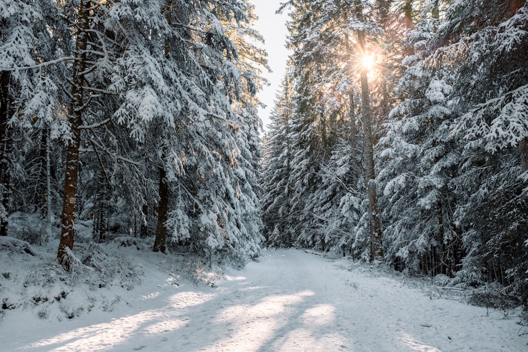 ERP Augmented Reality: Warehouse Visualization