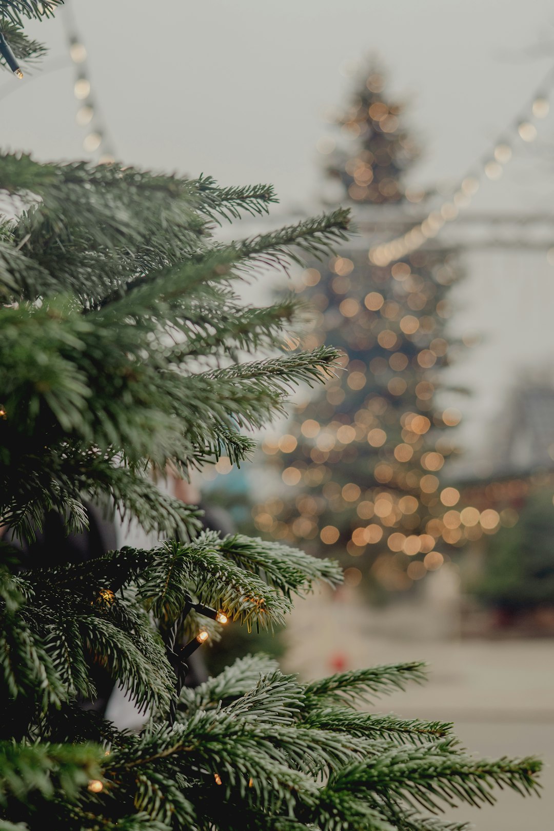 CRM SMS Integration: Text Message Campaigns