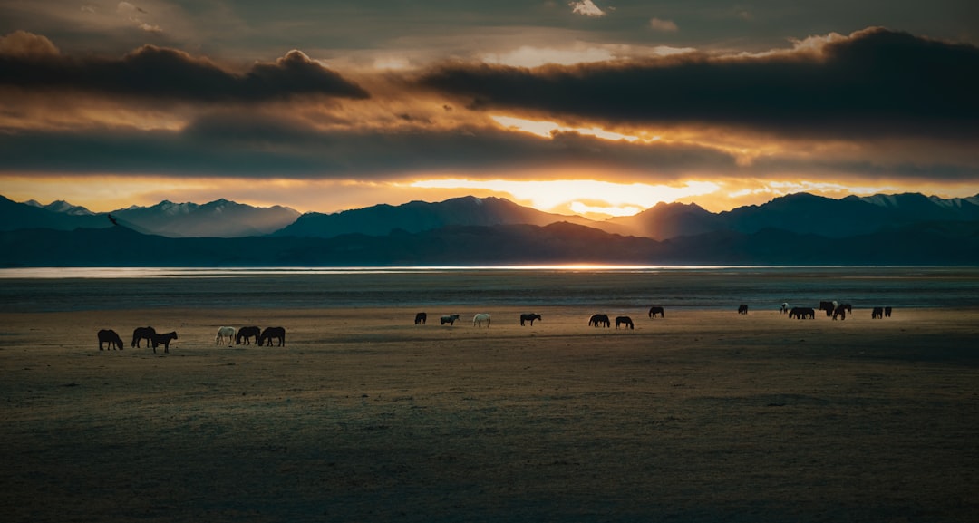 Employee Self-Service: Mobile App Development