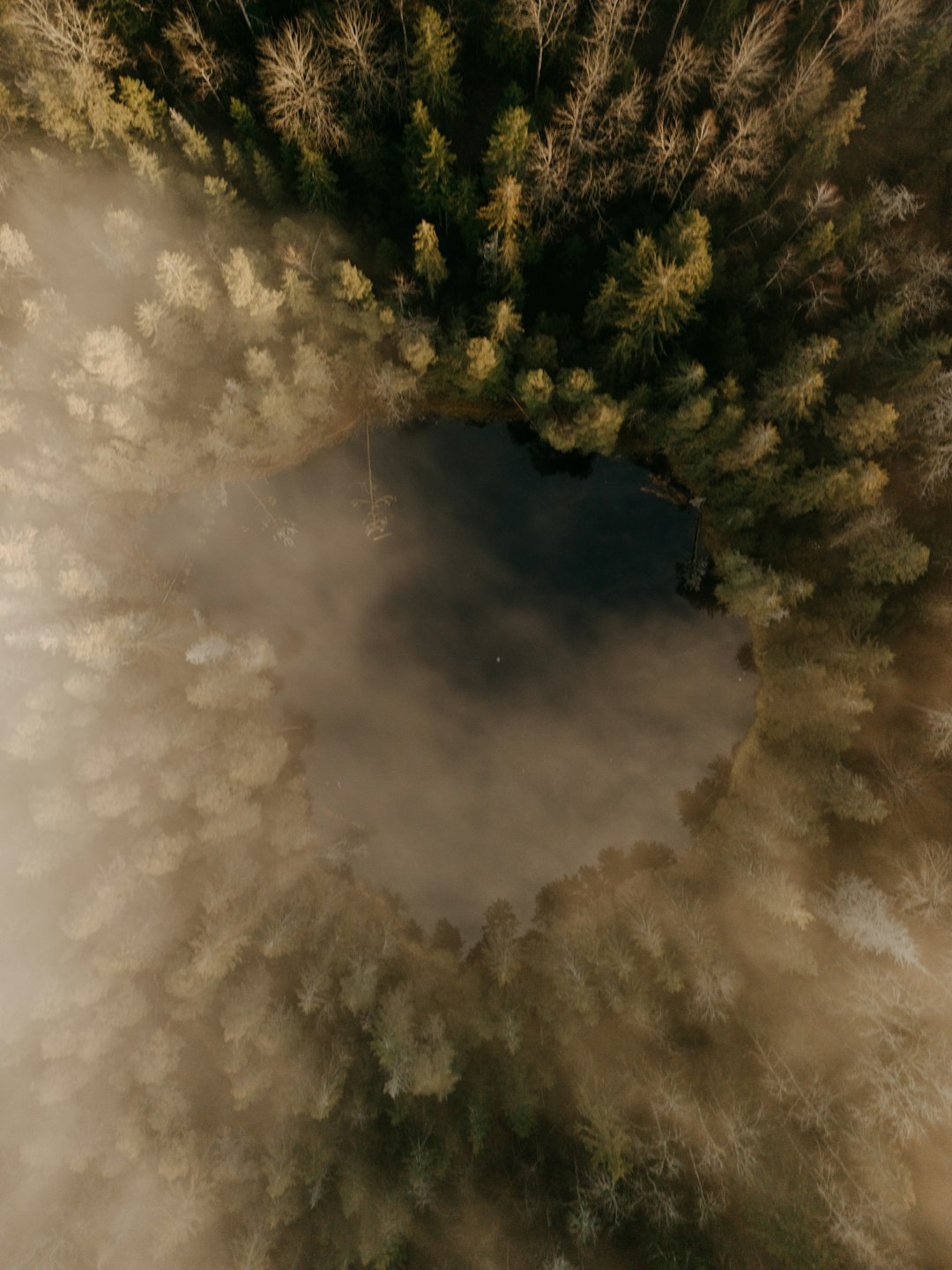 Numeric Separators: Readability Enhancement