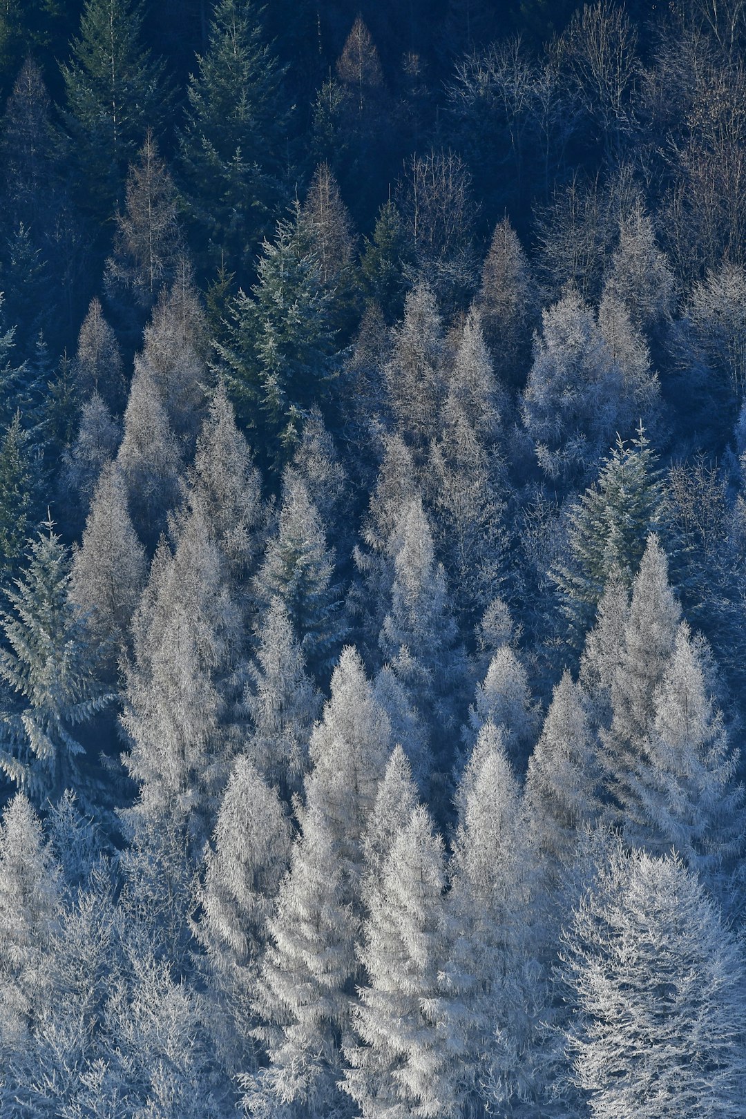 ERP Cloud Migration: Strategy and Execution Plan