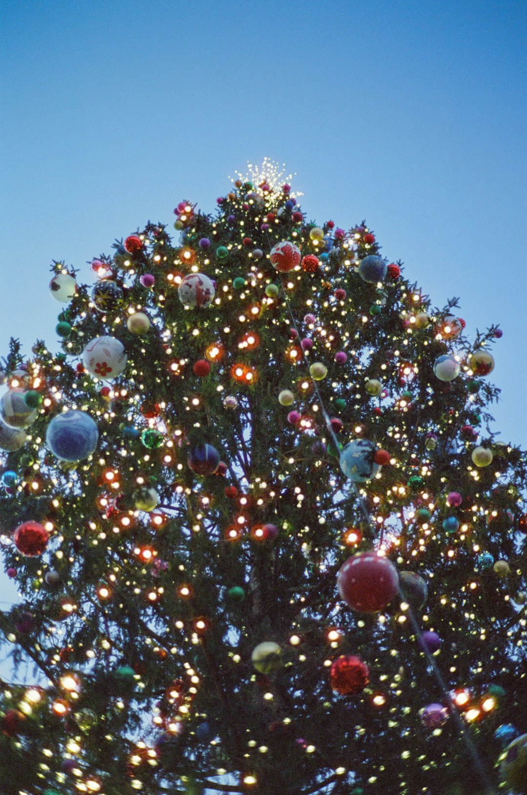 Marketing ROI Calculator: Budget Allocation Tool