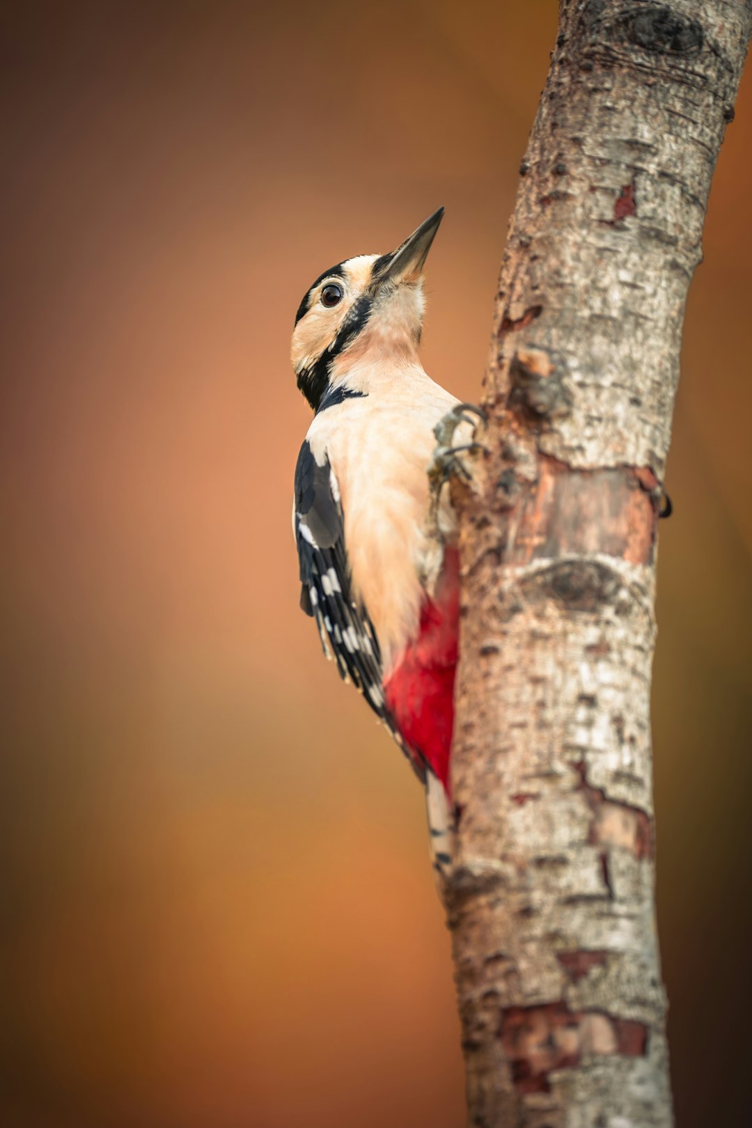 Marketing Technology Stack: Tool Integration