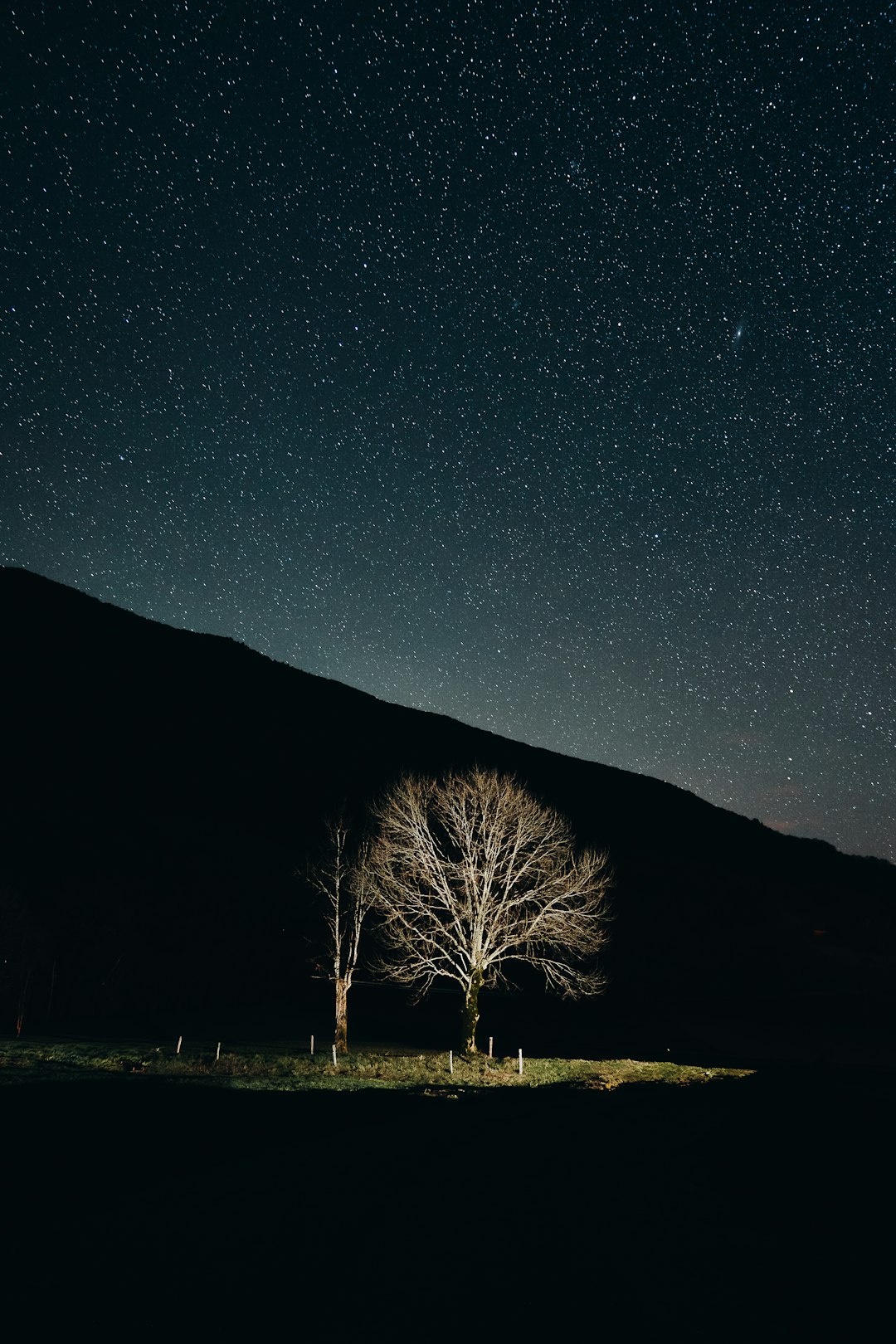 Marketing Compliance: Privacy Law Adherence