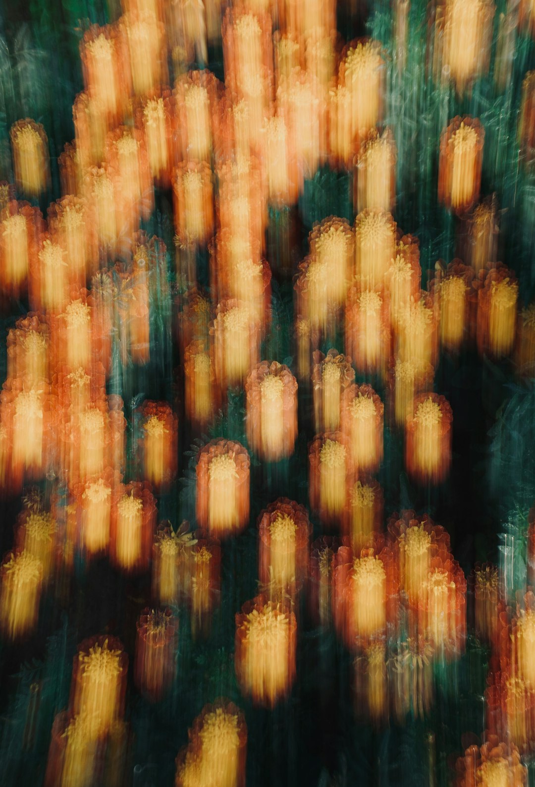 Gamification in E-Learning: Engagement Strategies