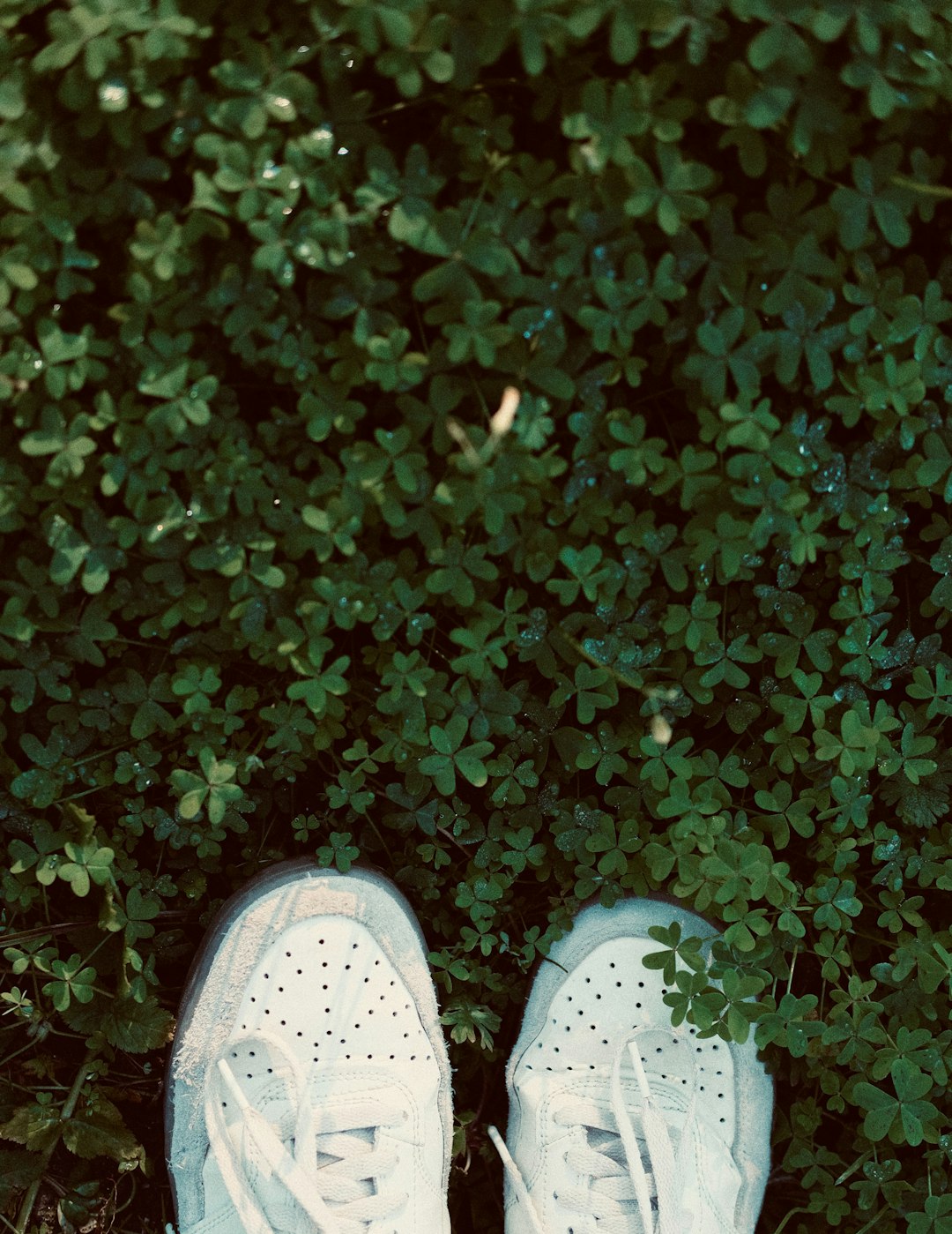 Change Management: Digital Adoption Framework